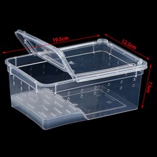 동물 개구리용 부화 상자 용기 사육 용품 투명 거미 먹이 작은 1PC 파충류 곤충, D, 1개