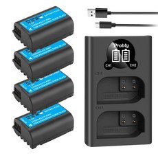 루믹스s5배터리