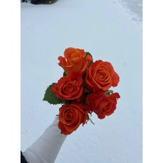 979a57fce498d2cfe29be2a55ff34116aae05171e649b3ddf270c19699a0.jpg