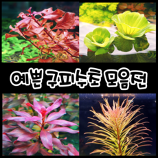 f4219145dac4f1a7f98630cdd170f148b3ee52c1cf92a2a1cbd157a84a54.png