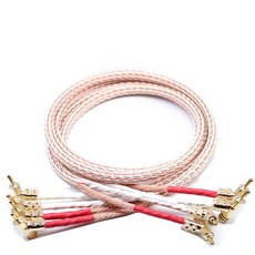 은바나나플러그