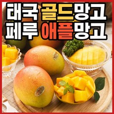 남독마이망고