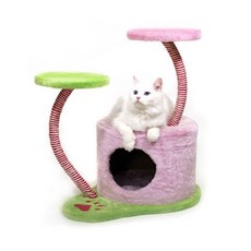 에덴동산파우더워시