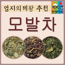 지리산한약나라 발모차재료 600g 어성초 녹차 자소엽, 1세트