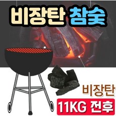 공기정화용숯나무