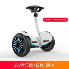 원몽드 전동휠 호버보드 나인봇, E, 36V