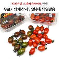 망고방울토마토