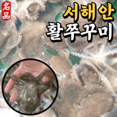국내산 서해안 활 쭈꾸미 생물 국산 제철 1키로 1kg 2kg 생쭈꾸미 알쭈꾸미 활쭈꾸미 알배기, 4kg 내외, 1개
