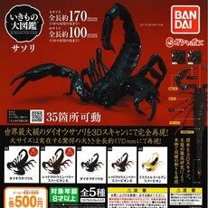 배스킨라빈스포켓몬