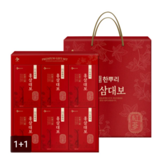 [무료배송1+1] CJ 한뿌리 홍삼대보 40ml X 24포 설선물세트 (선물포장)