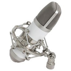 루루살롱 HL20 방송 골드 콘덴서 K노래 부품, 화이트