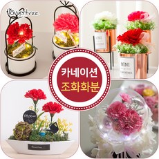 *어버이날 카네이션 CC* LED 조화화분 화병 수반 울타리 모음, 1개, C05.오로라카네이션벌룬화분set 24cmP+전구(꽃볼펜C+정사각 2호)
