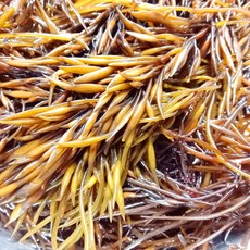 생물 톳 1kg 남해안 톳나물 녹미채 따시래기 톳밥, 1개