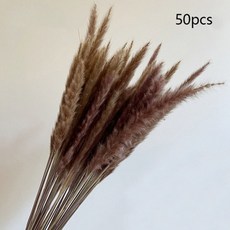 버니테일메르시가디건