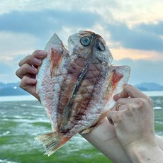 수산한청년 자연산 반건조열기(불볼락)2...