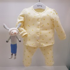 싸이벡스제트아이픽스플러스베이비페어