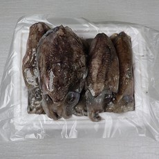 푸드꾸미 갑오징어 생물 손질 당일조업, 1박스, 생물 갑오징어 1kg