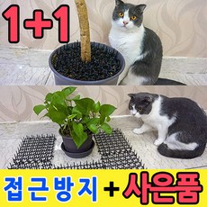 고양이퇴치매트