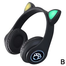 고양이발레이져