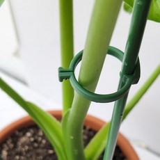 식물지지대 화초 화분 원형 지주대 원형링, 60cm(링＋지주), 1개