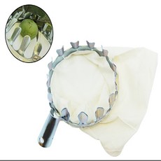 공주시포도따기체험