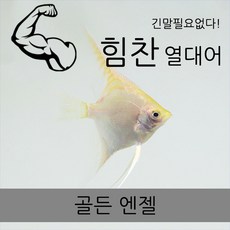 fc818d4faabd81125e22c27c6fed3e73a93fa8ed8a71cca01958b96d2e3c.jpg