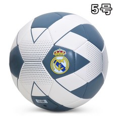 프리미어리그매치볼