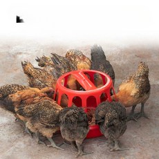 닭모이통 닭 사료통 시골 앞마당 방목 양계 먹이 그릇, 6kg 작은 녹색 닭장 1, 1개