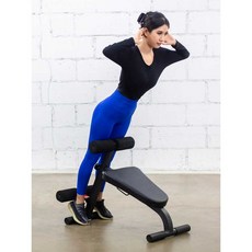 백 힙 익스텐션 애플힙운동 기립근 싯업벤치