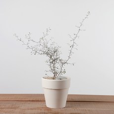 ab2a7c6b2490c7c3f5ae2371a6a7fb95596e7691863d5b882681a791e0f4.jpg