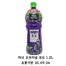 미닛메이드 오리지널 포도, 1.2L, 12개