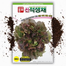 적 아삭이상추 씨앗( 300립)채소씨앗 쌈채소, 1개