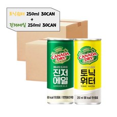 캐나다 토닉워터 진저에일 하이볼 탄산수 60캔 청량감 식품, 300개, 250ml