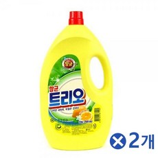 에코씽