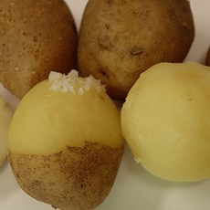 e6aa16bebf8eef4fae8d9afa9fe3f914b49333a0a2d69b5b33871d0977f6.jpg