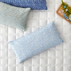 [MODERN HOUSE 중계점] L 제주에서 자란 무농약 메밀베개_물망초 NF3424003