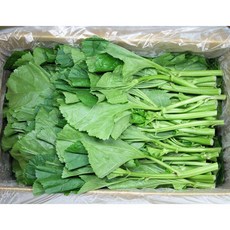 믿을수 있는 우리 농산물 아욱 2Kg, 1개