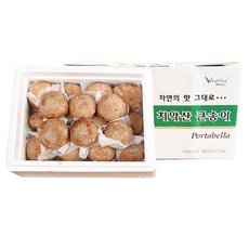 치악산큰송이버섯