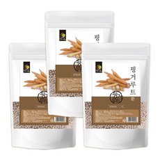 엄마애손 판두라틴 AMPK효소 핑크루트 핑거루트 환 정 1kg 3개, 엄마애손 핑거루트환 1kg 3개