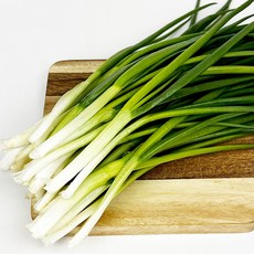 쪽파 깐쪽파 손질쪽파 실파 파김치 파전, 500g, 1개, 450~500