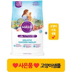 헤일로캣캔