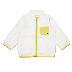 블루독베이비호박