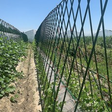 포도 넝쿨 지지대 호박 지주대 오이 수박 참외 정원 농업용 대형 덩쿨 식물 가드닝 용품