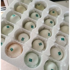 청계닭