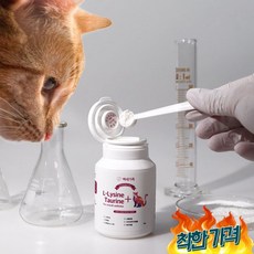  백세가족 영양제 허피스 구내염 감기 눈병 눈꼽 재채기 기침 콧물 눈물 결막염 길 약X, Essential L-Lysine+Taurine 