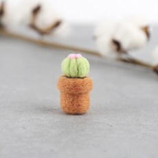 양모펠트선인장