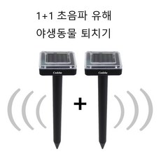 추천4너구리퇴치기