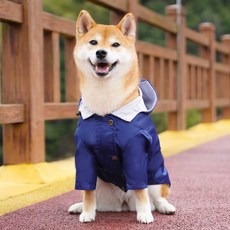 강아지 방수 우비 비옷 망토 애견 대형견 바람막이 옷
