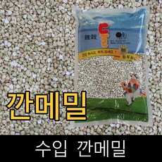 메밀수확시기