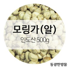 [az] 모링가열매(알) 인도산 500g자연식 s/n : 126F14+1228, 단일상품